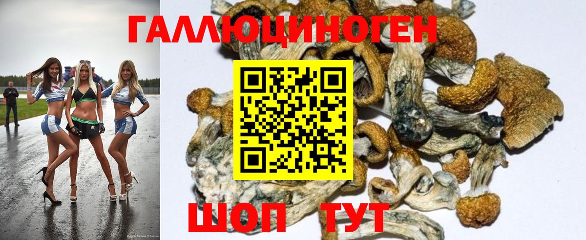 Галлюциногенные грибы Magic Shrooms  Вход с VPN  Галлюциногенные грибы Cubensis  Черногорск 